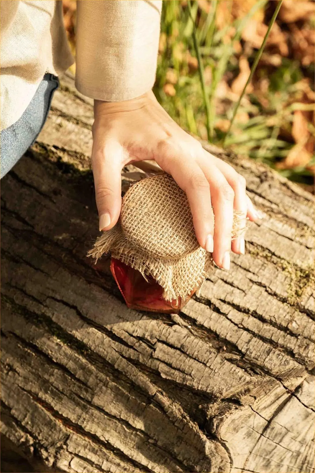 Vasetto di miele del Bosco appoggiato su un tronco